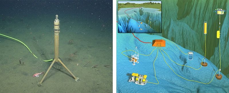 The Unceasing Ping of the Deep