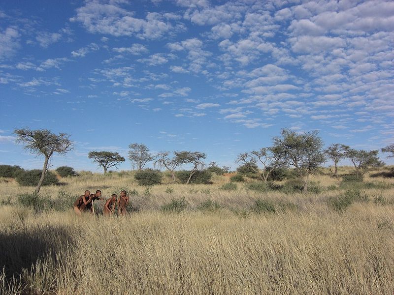 The San (Bushmen) of Botswana and Namibia