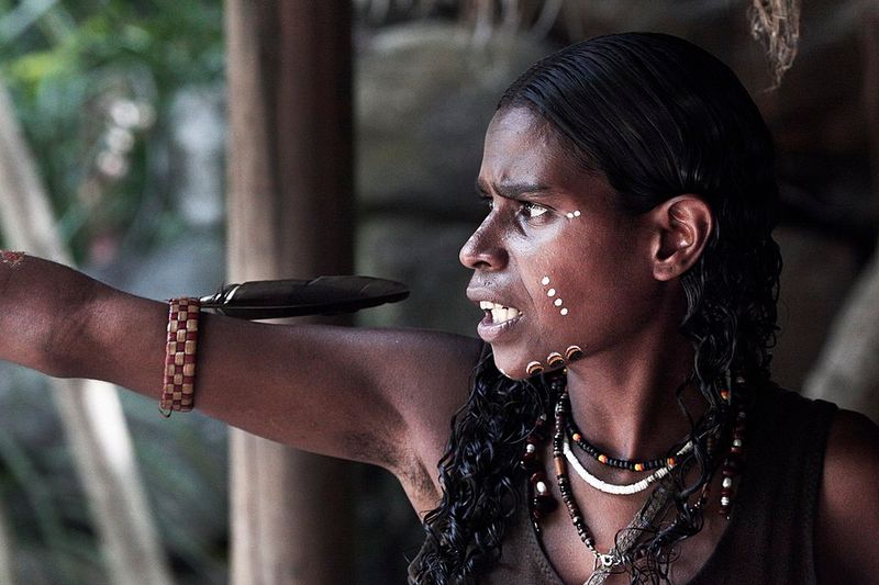 The Aboriginal Peoples of Australia