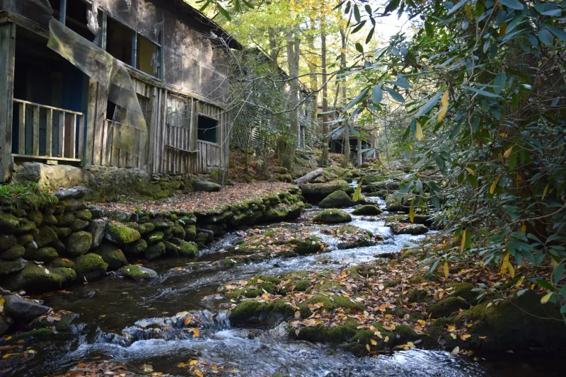 Where the Magic Happens: Elkmont, Tennessee