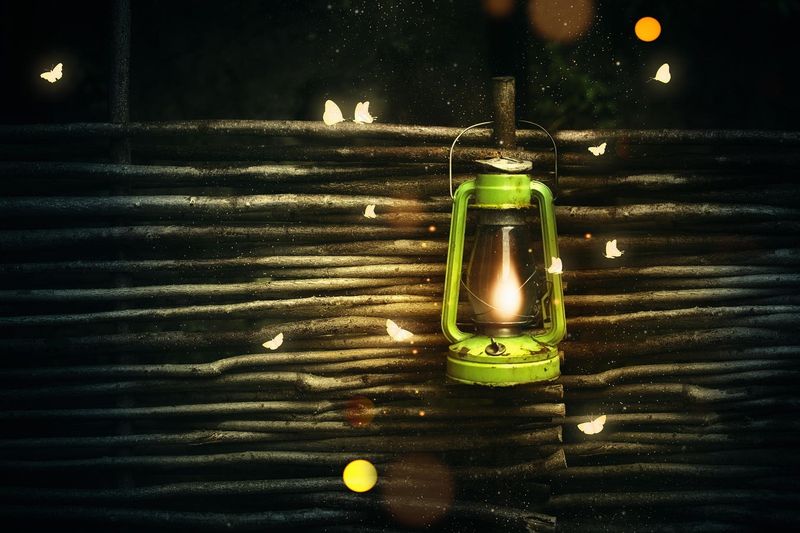 Bugs Love Some Light—Use Smarter Strategies