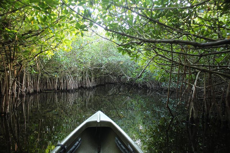 You Can Launch Right from the Everglades Visitor Center