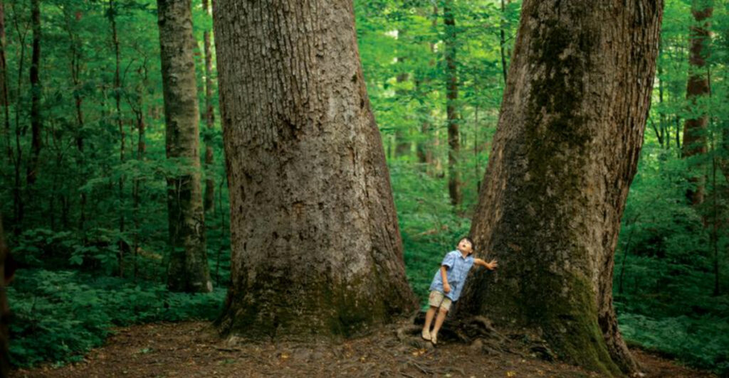 These 9 Family-Friendly Hikes in North Carolina Are Easy and Scenic