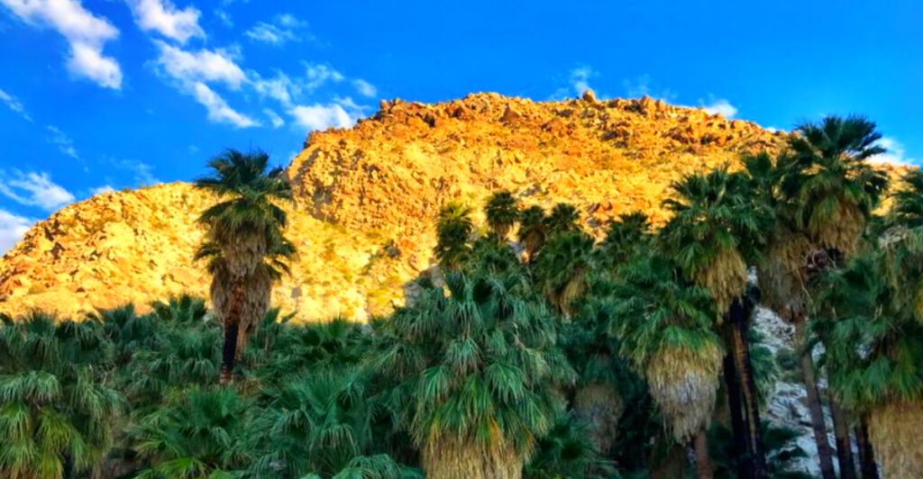 This Hidden California Desert Oasis Feels Straight Out of Another Planet