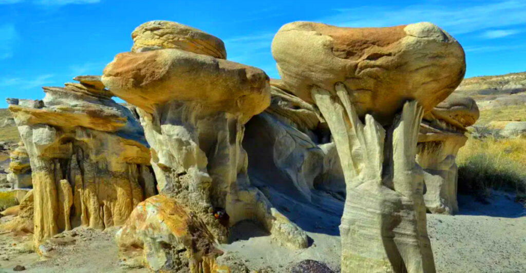 This Remote New Mexico Getaway Is So Surreal, It Feels Like You’ve Left Earth