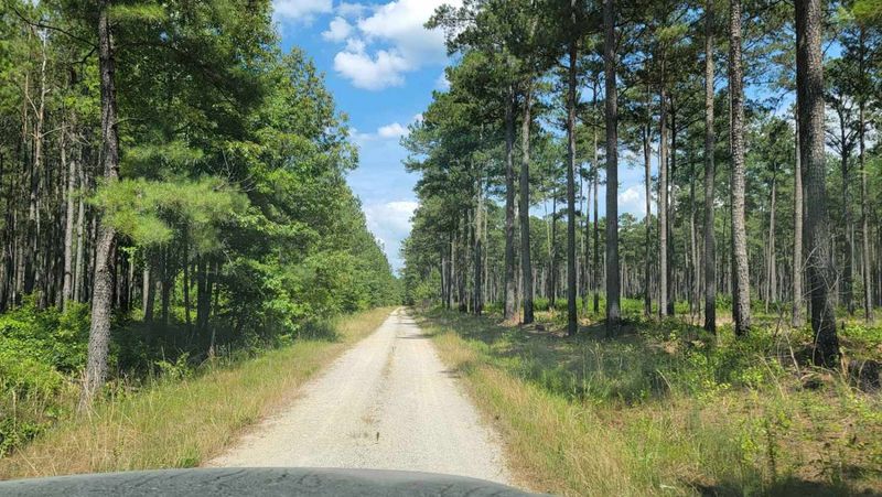 The Road to Wakefield