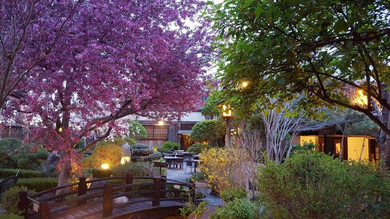 Domo Japanese Country Food — Denver (La Alma/Lincoln Park)