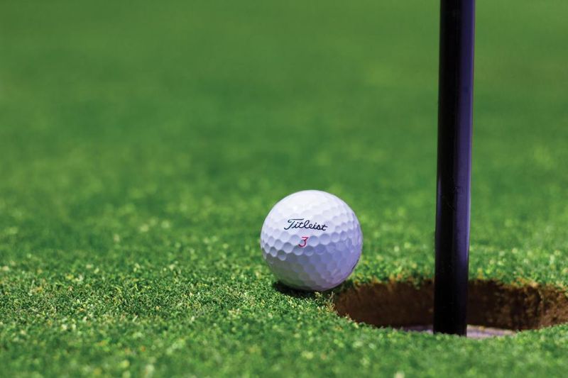 Parks for Picnics—and a Full 18-Hole Disc Golf Course