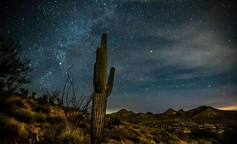 Stargazing That’ll Ruin You for City Life