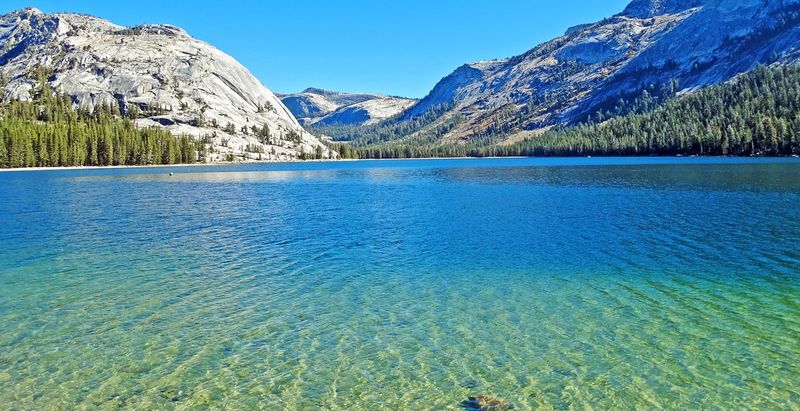Tenaya Lake (California)