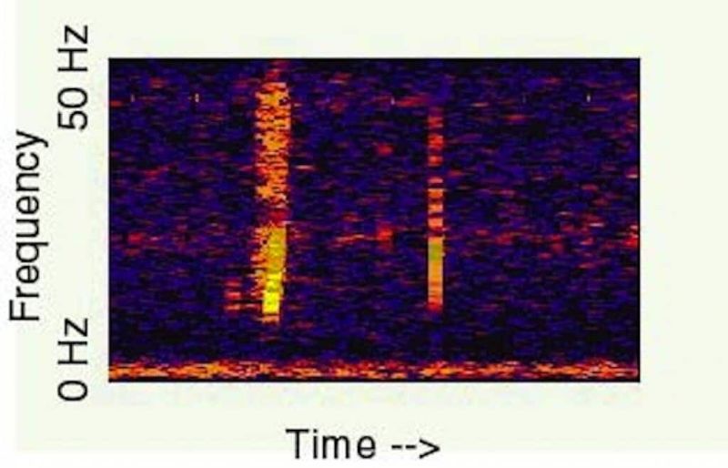 The Bloop: Ocean's Loudest Underwater Sound