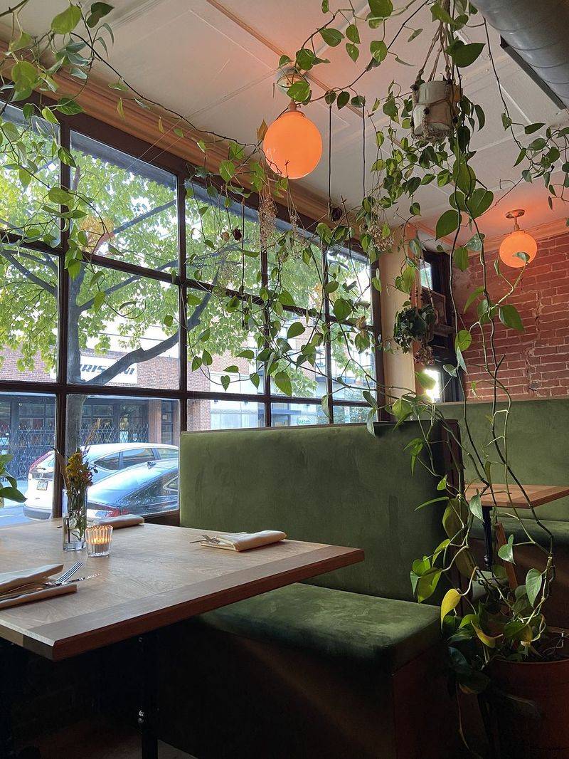 Pietramala (Northern Liberties)