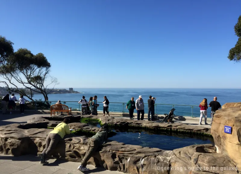 Aquarium time at Birch (La Jolla)