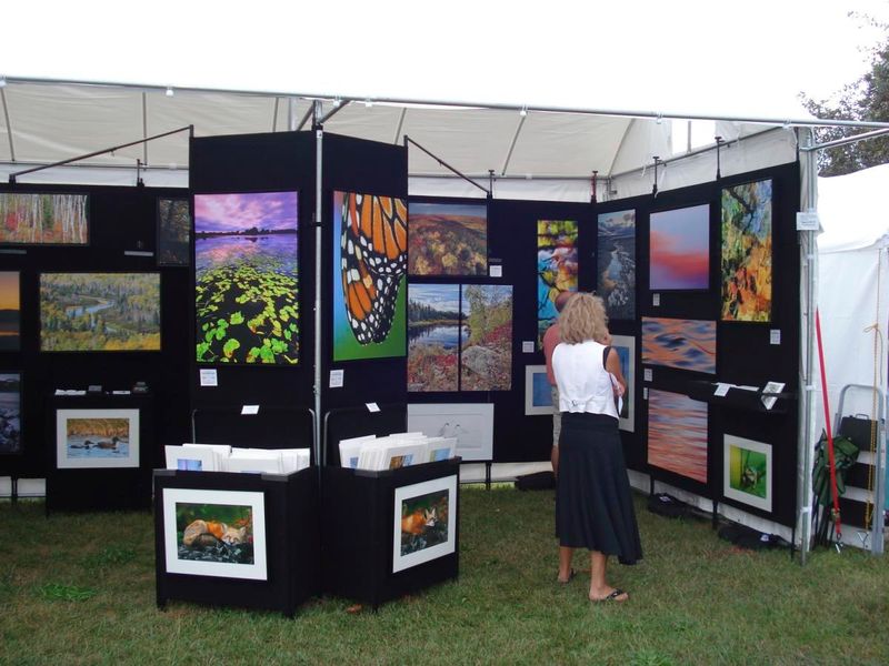 Artistic Inspiration