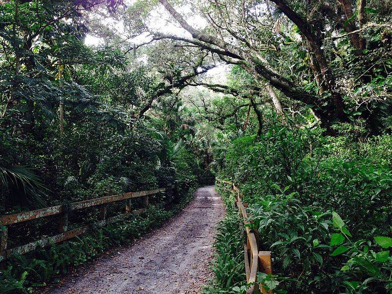 Horse-Friendly By Design: Miles Of Equestrian Trails
