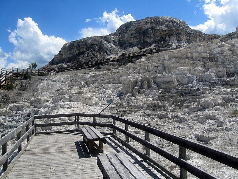 The Terraces: Upper, Lower & Highlights