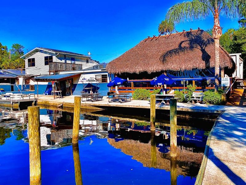 The Freezer Tiki Bar — Homosassa