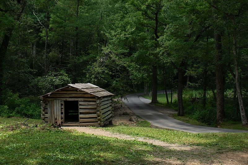 The Smoky Mountains' Most Famous Mystery: Dennis Martin