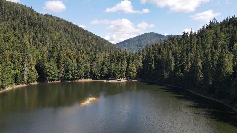 Rainforest in Montana and Ecological Richness