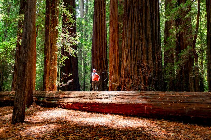 It's California's Best-Kept Secret