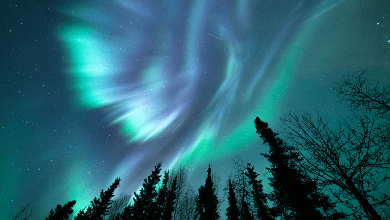 Exceptional Aurora Viewing
