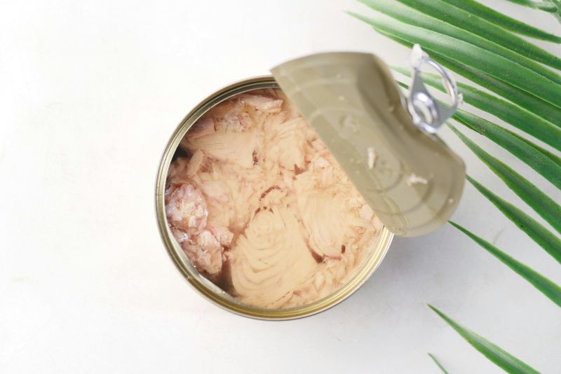 Tuna in a Can (1903)
