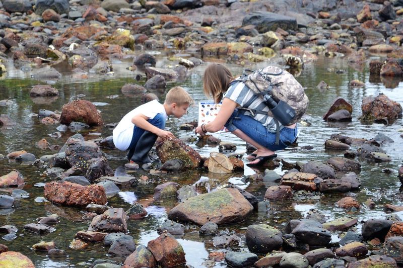 Odiorne Point State Park (Seacoast Science Center), New Hampshire