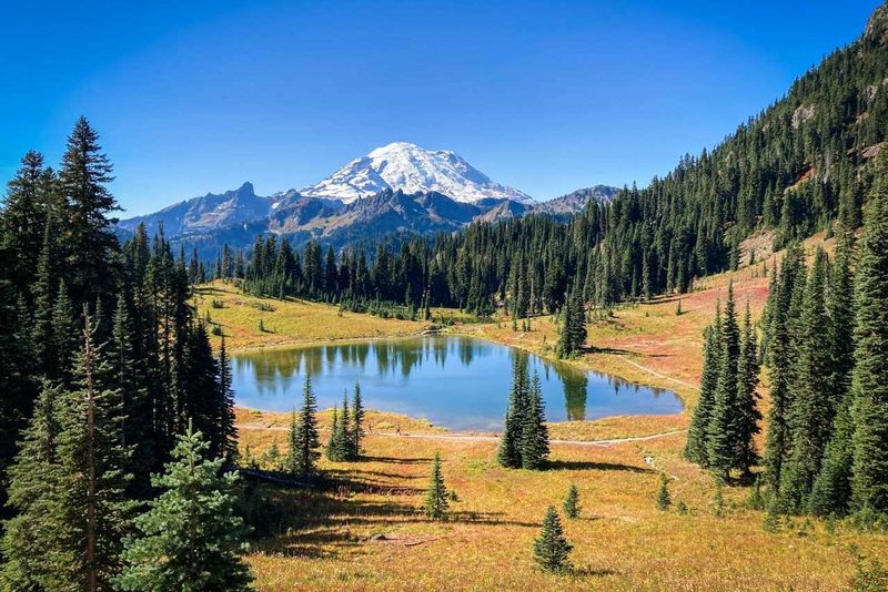 Mount Rainier National Park, Washington
