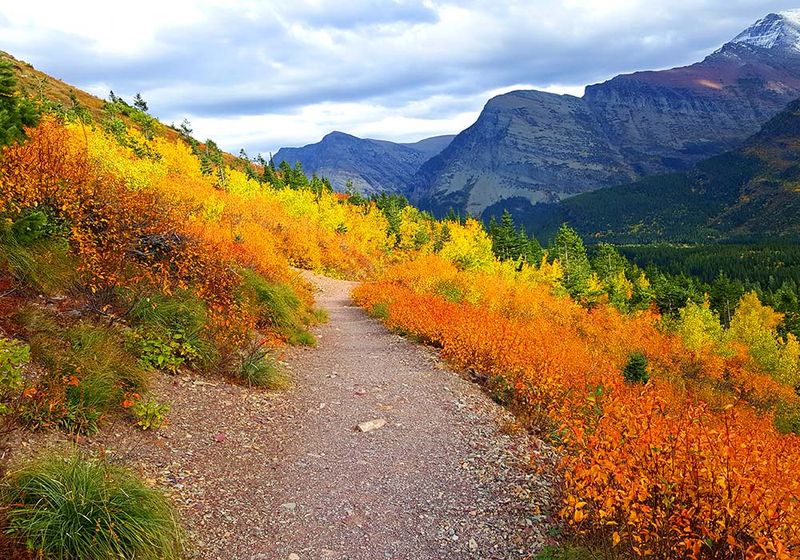 Glacier National Park, Montana