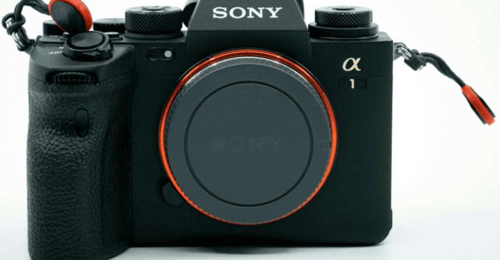 10 Best Cameras That Capture Art and Sculptures in Stunning Detail