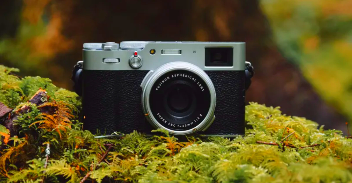 10 Compact Cameras That Make Campsites Look Cozy and Magical