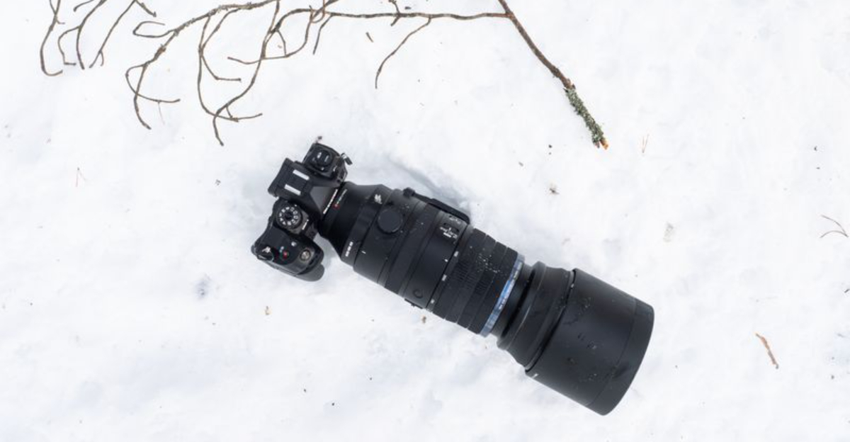 10 Most Detailed Cameras for Snowy Landscapes in 2025