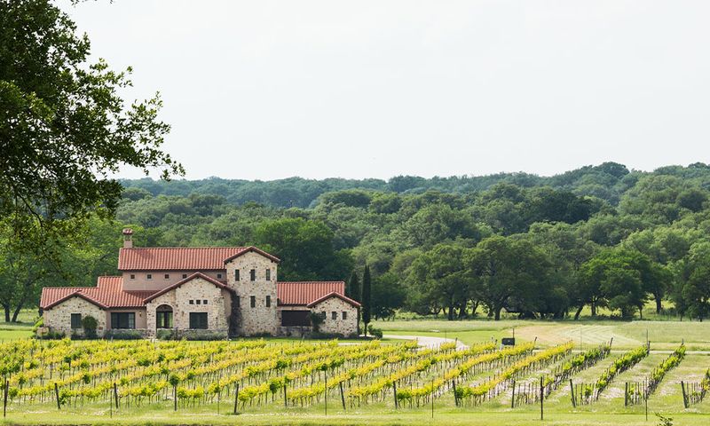 The Vineyard at Florence, Texas