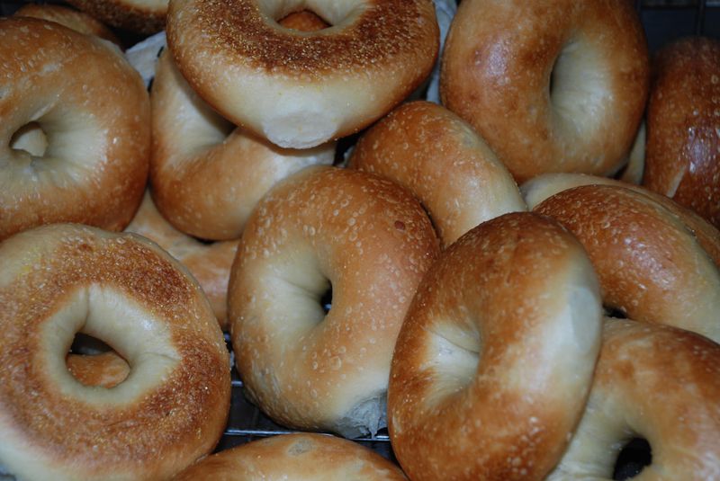 Bagel Oasis