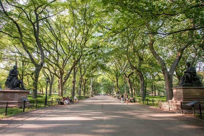 Start at The Mall & Literary Walk