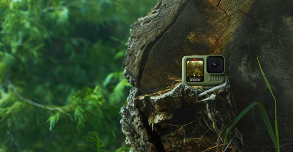 12 Waterproof Cameras That Handle Rainforest Trails