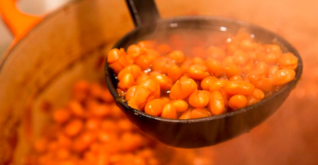 14 Sacred Massachusetts Foods Locals Will Defend to the Death