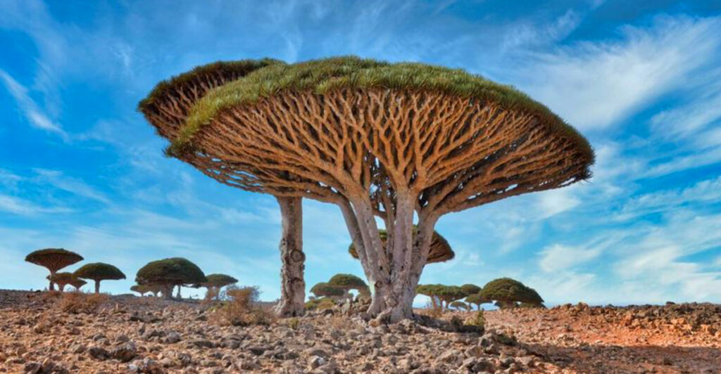 15 Bucket-List Adventures to See Before They Disappear