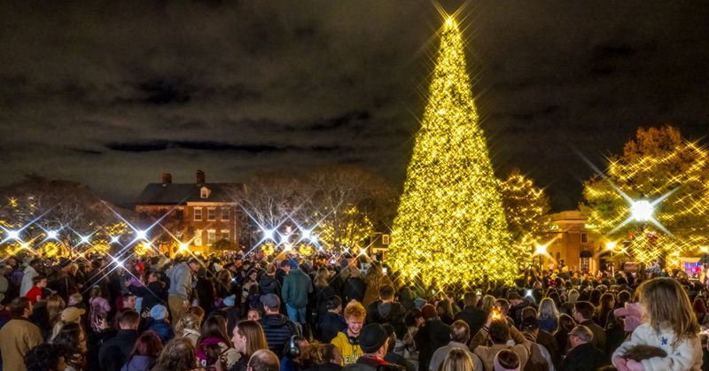 Kick off the season at the City Tree Lighting (Market Square)