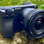 15 Mirrorless Cameras That Fit in Any Hiking Pack