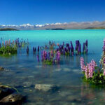 15 of the World’s Most Beautiful Lakes That’ll Make You Do a Double-Take