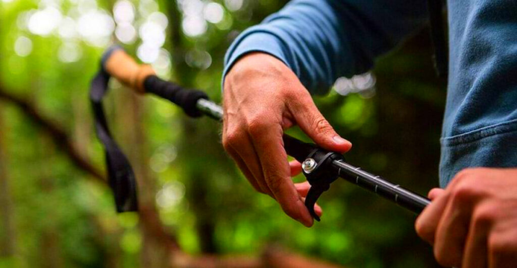 16 Best Hiking Poles That Reduce Strain