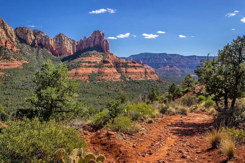 3. Designed by Nature’s Transition Zone