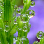 7 Compact Cameras for Epic Nature Shots