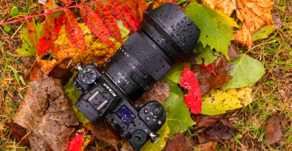 9 Cameras That Capture the Moodiness of Rainy Wilderness Days