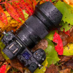9 Cameras That Capture the Moodiness of Rainy Wilderness Days