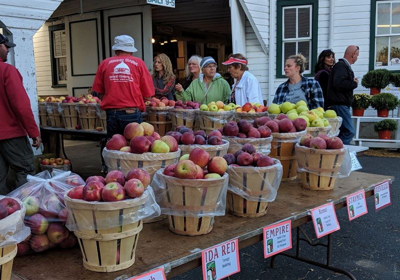 National Apple Harvest Festival (Biglerville)