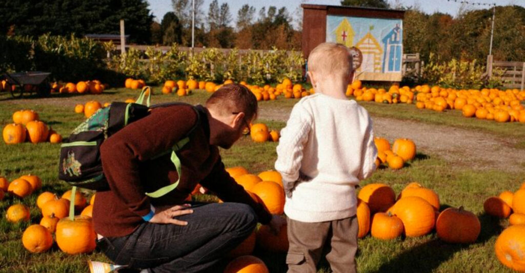 9 Can’t-Miss Pennsylvania Fall Food Festivals Perfect for Your Autumn Plans
