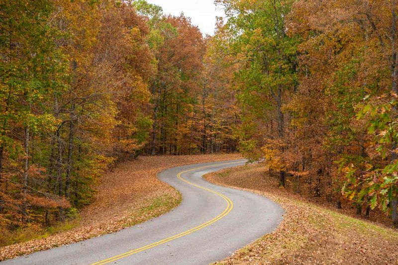 The Natchez Trace Parkway Connection