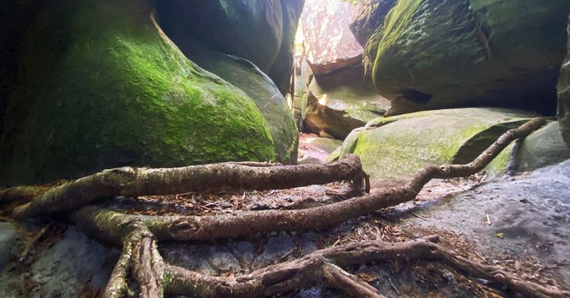 Remote by Design, And That Keeps It Quiet